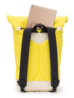 ROLLTOP CANVAS - Image 3